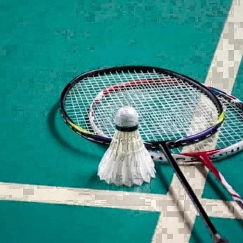Cover Image for Badminton Night