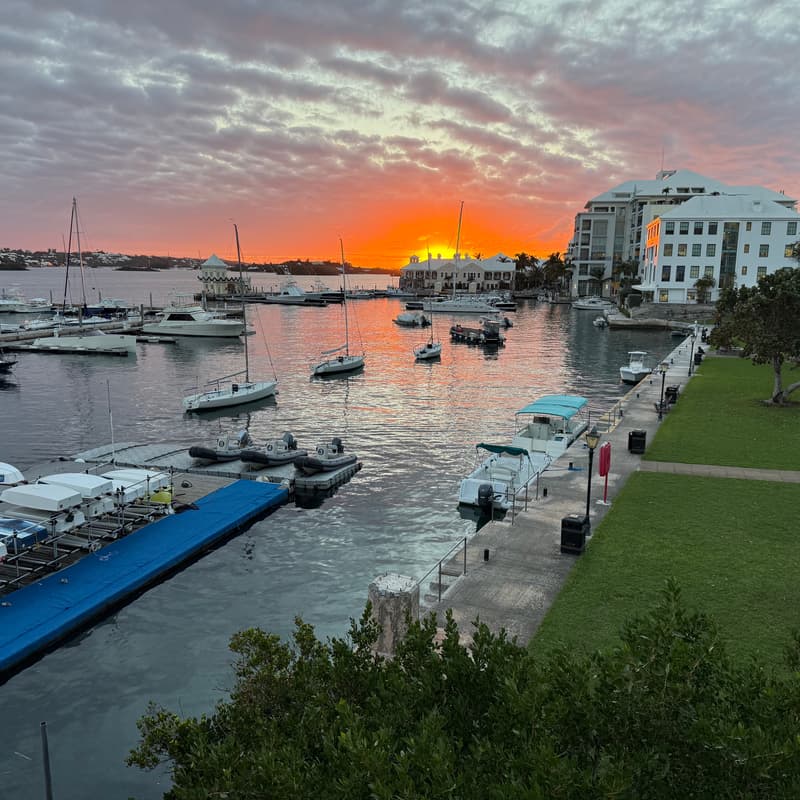 Cover Image for Qodeo's Bermuda Global Democratizing Venture Summit