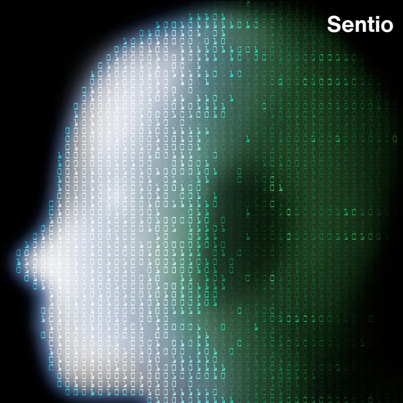 Cover Image for How To Count Digital Minds (Jeff Sebo) + Q&A + Networking