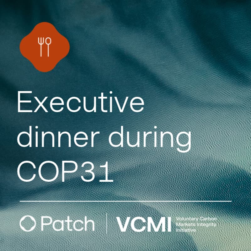 Cover Image for COP31 - After the sessions: insetting, SBTi, and the future of corporate climate action