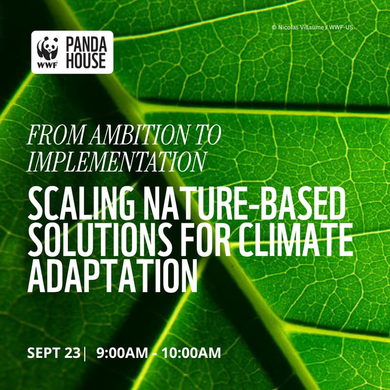 Cover Image for From Ambition to Implementation: Scaling Nature-Based Solutions for Climate Adaptation