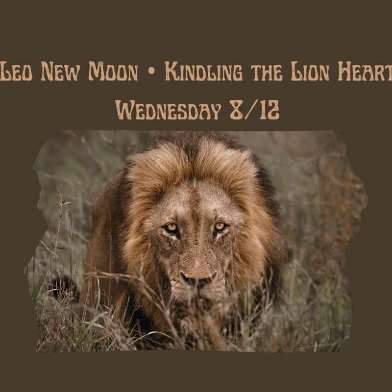 Cover Image for Leo New Moon • Kindling the Lion Heart