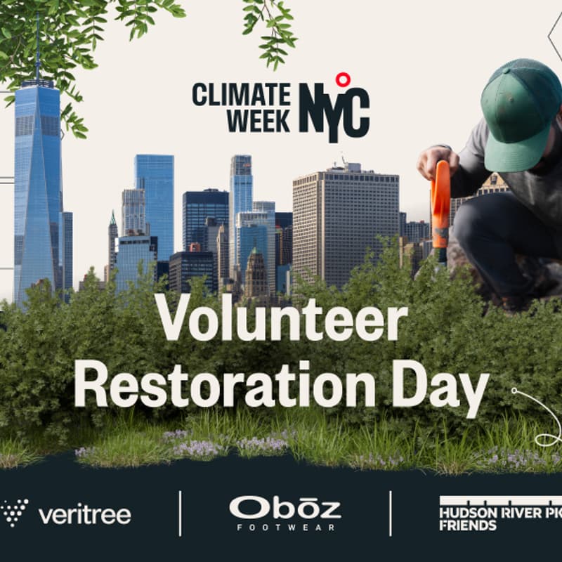 Cover Image for Restoration Day with veritree, Oboz & Hudson River Park Friends