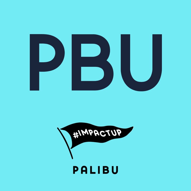 Cover Image for ImpactUp x PaliBu