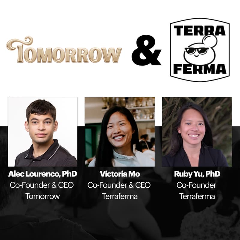Cover Image for Founders at Work: Tomorrow & Terraferma