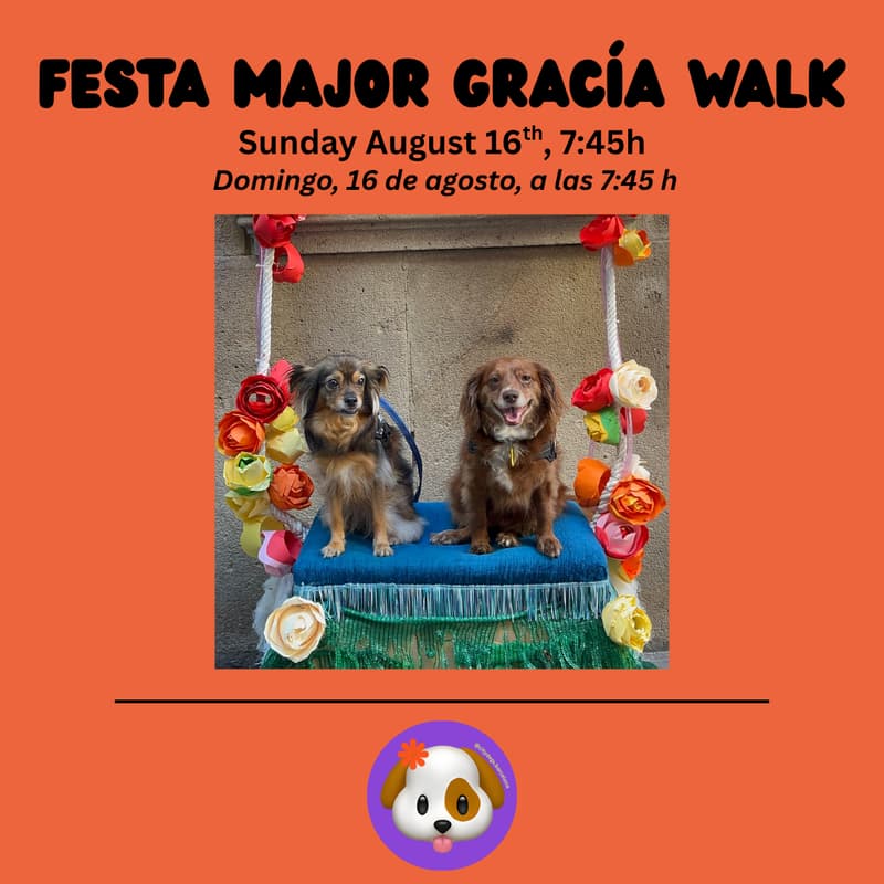 Cover Image for Festa Major Gracia Walk