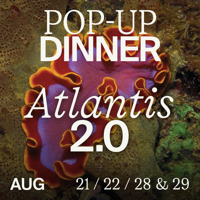 Cover Image for Amsterdam | Immersive Experience Dinner : Atlantis 2.0
