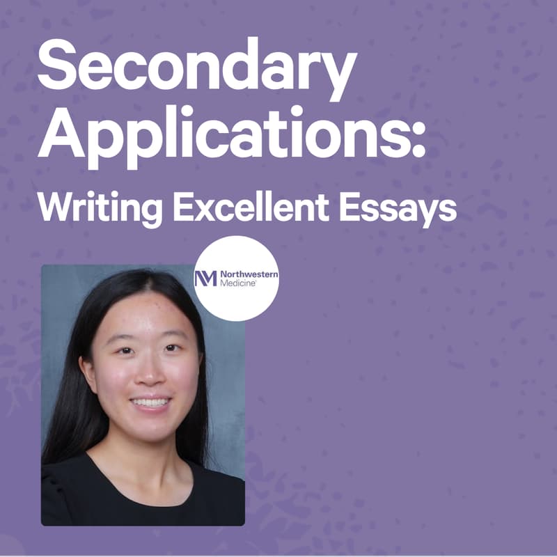 Cover Image for Secondary Applications: Writing Excellent Essays