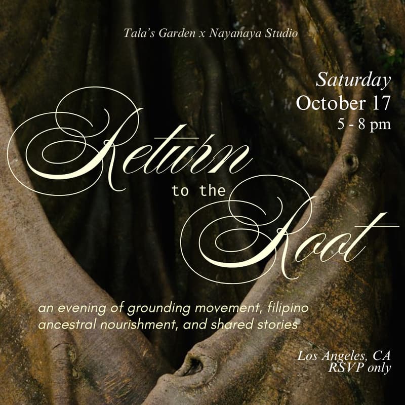 Cover Image for Return to the Root