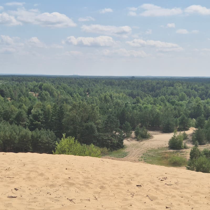 Cover Image for The Dune of Brandenburg - Autumnal Hike 21km