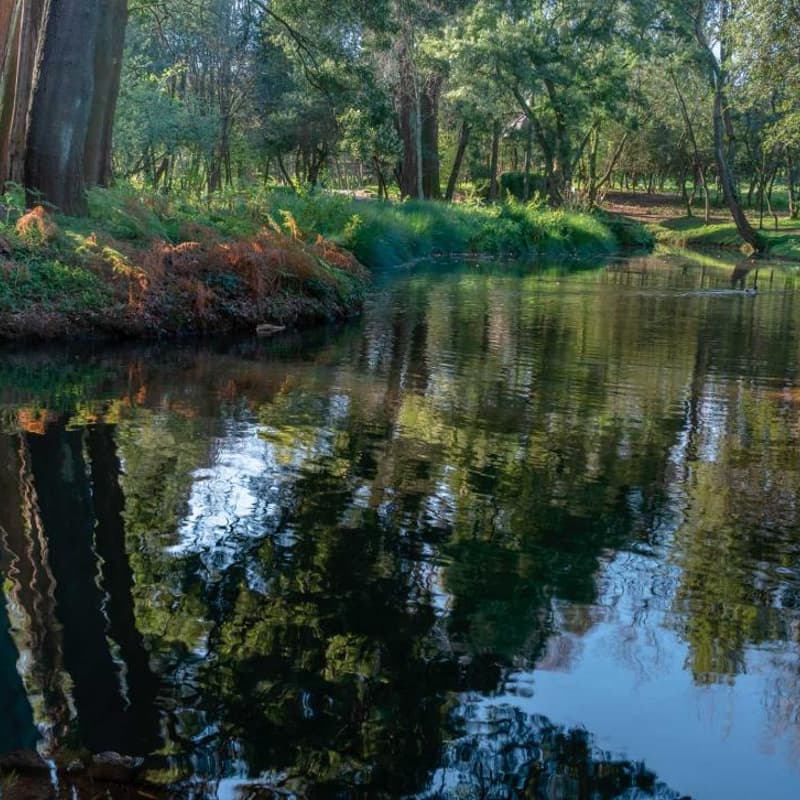 Cover Image for Passeio Gaia | Parque da Lavandeira