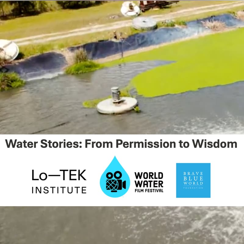 Cover Image for Water Stories: From Permission to Wisdom - A Climate Week NYC Event with WWFF, Lo-TEK Institute & Brave Blue World Foundation