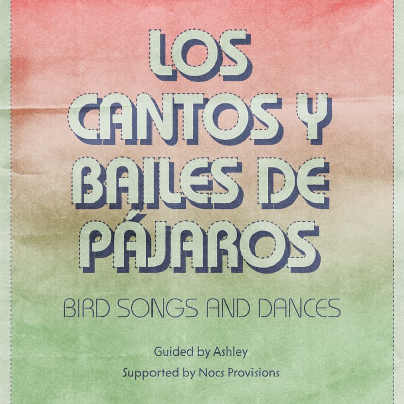 Cover Image for Los Cantos y Bailes de Pájaros, Bird Songs and Dances