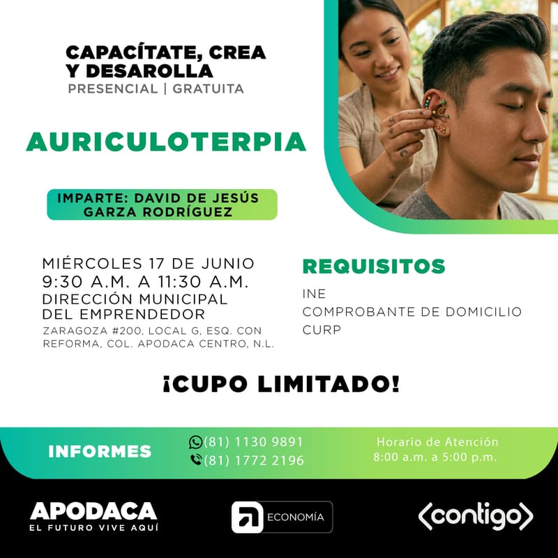 Cover Image for CURSO DE AURICULOTERAPIA (PRESENCIAL)