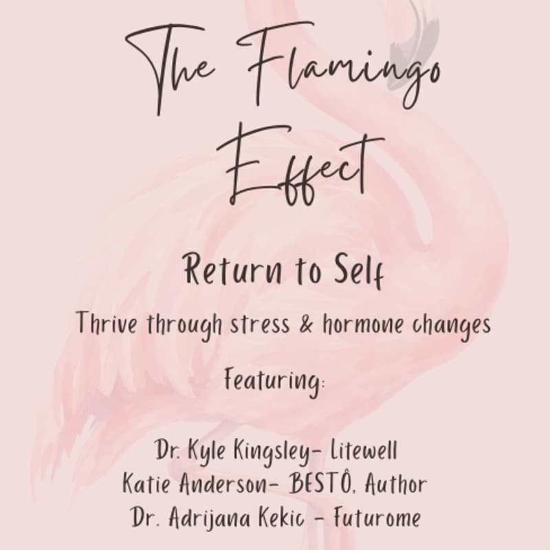 Cover Image for The Flamingo Effect - Return To Self