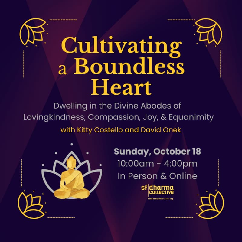 Cover Image for Cultivating a Boundless Heart