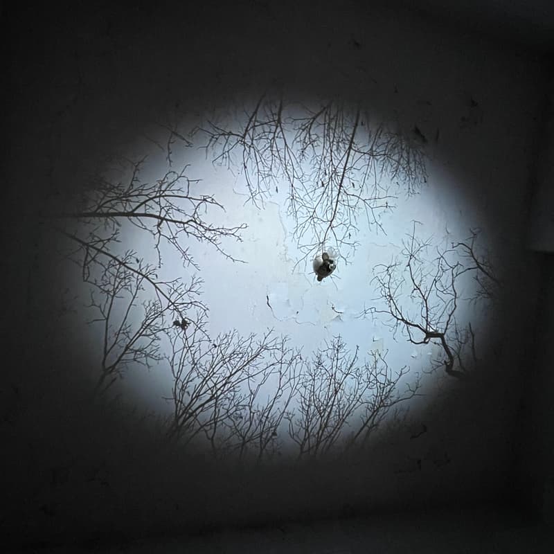 Cover Image for Opening Reception of Trees/Plant/People/Time: An immersive multimedia installation about people's relationship with trees.