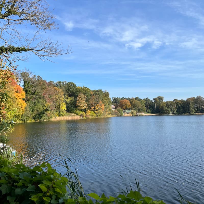 Cover Image for [17 km] Loop hike from Bad Freinwalde to Baasee 🍁