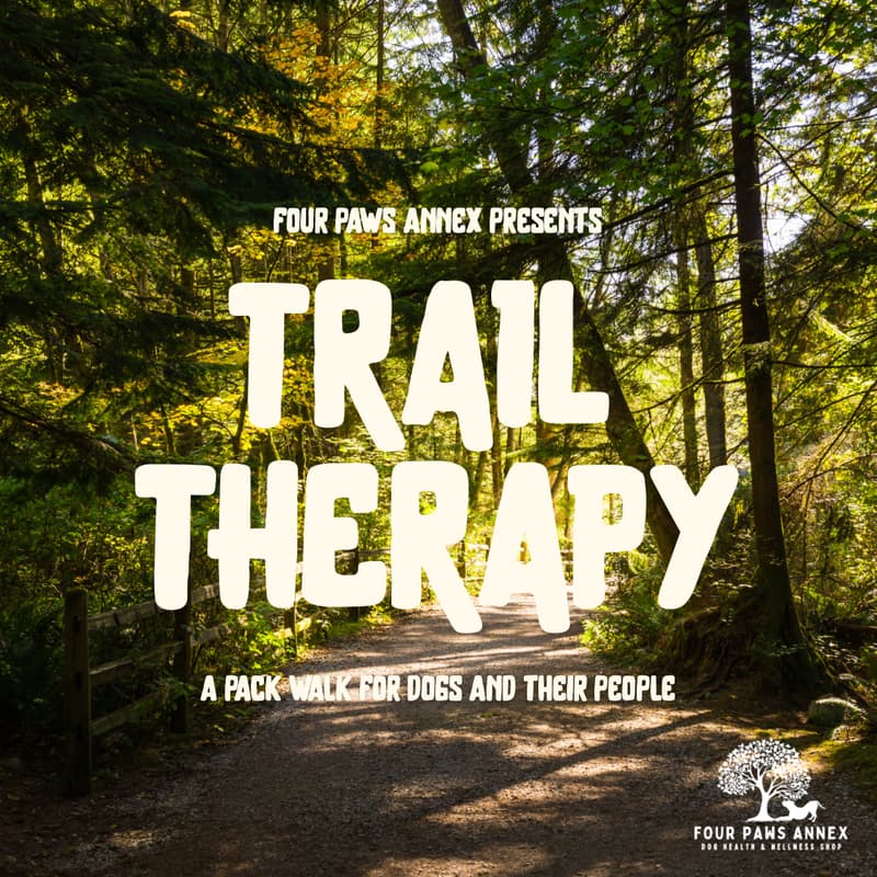 Cover Image for December – Trail Therapy: Holiday Pack Walk ❄️🎄
