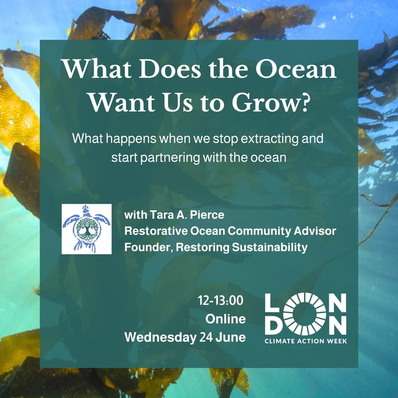 Cover Image for What Does the Ocean Want Us to Grow? (LCAW)