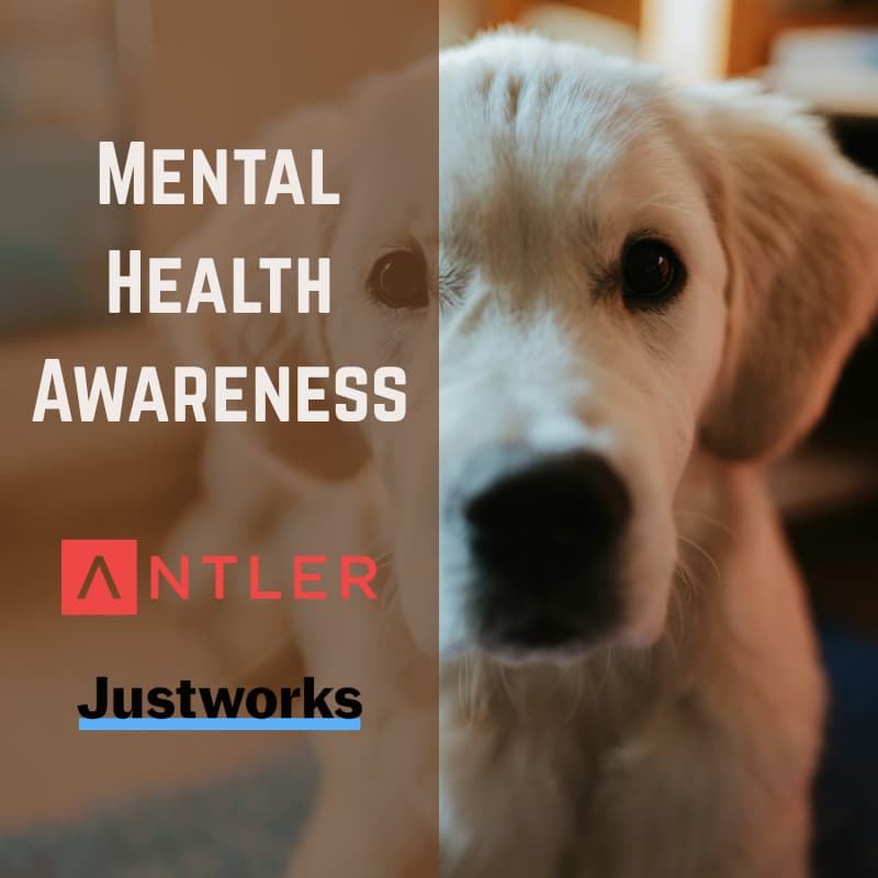 Cover Image for Antler × Justworks: Puppies & a Pause 🐶