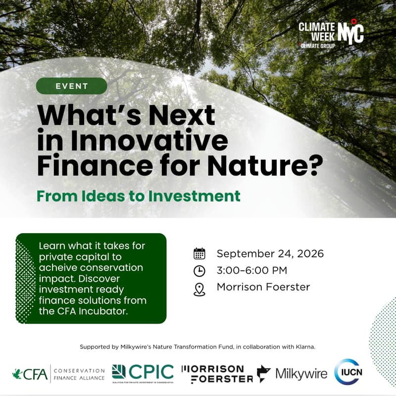 Cover Image for What's Next in Innovative Finance for Nature?