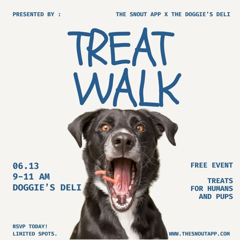 Cover Image for Treat Walk