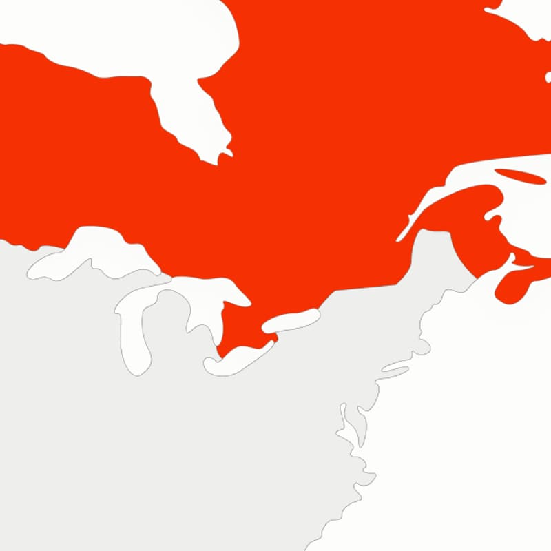 Cover Image for Laravel Ontario