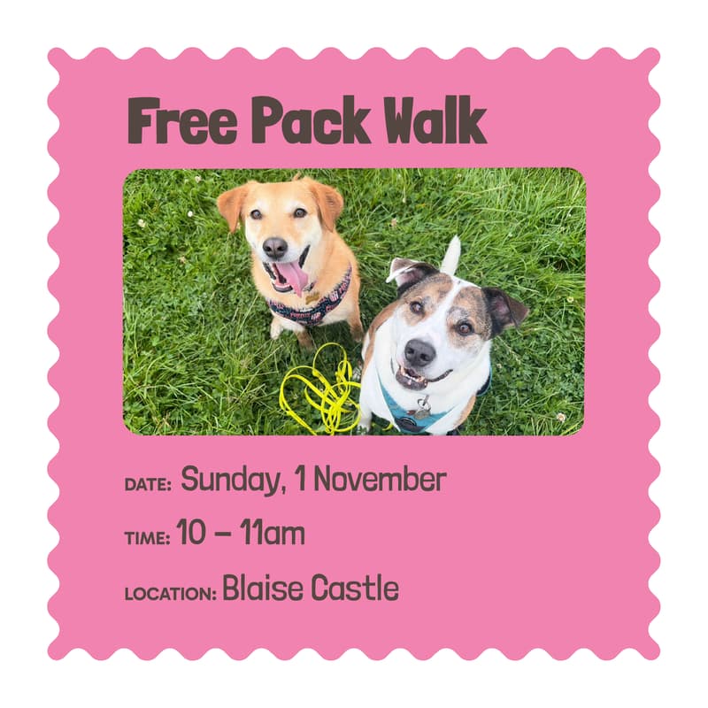 Cover Image for Free pack walk
