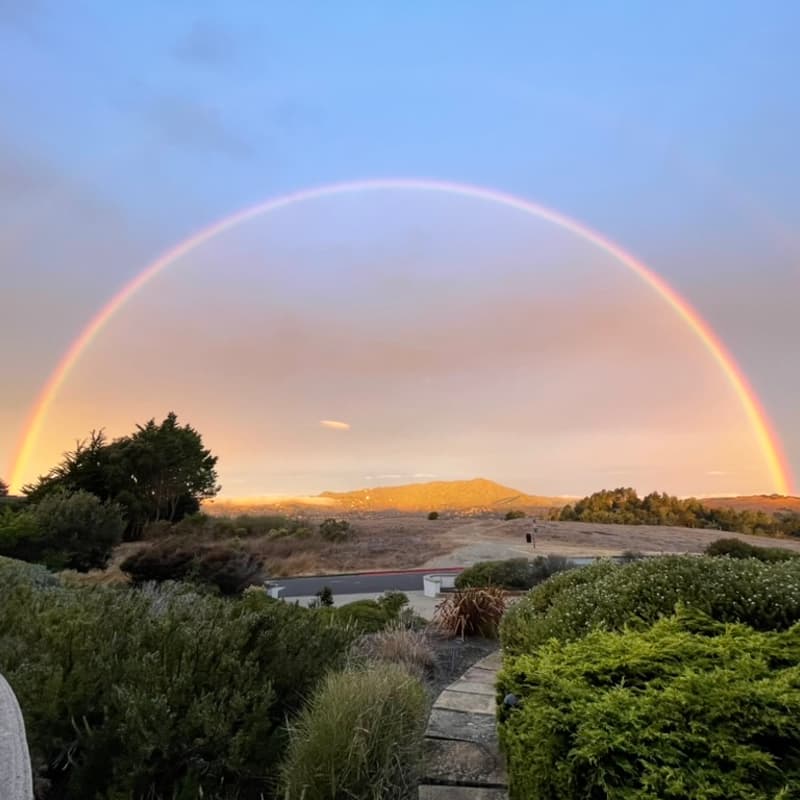 Cover Image for Bay Area Climate Leaders Climb to the Top of Mt Tam
