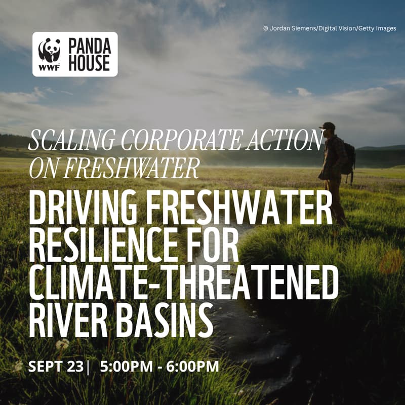 Cover Image for Driving Freshwater Resilience for Climate-Threatened River Basins