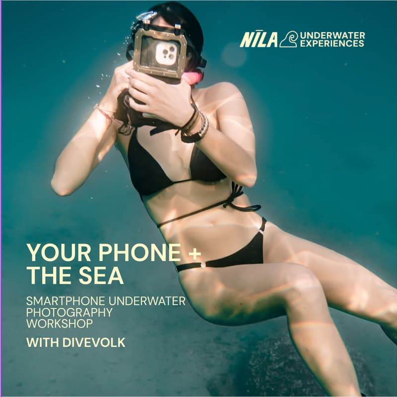 Cover Image for Smartphone Underwater photography workshop