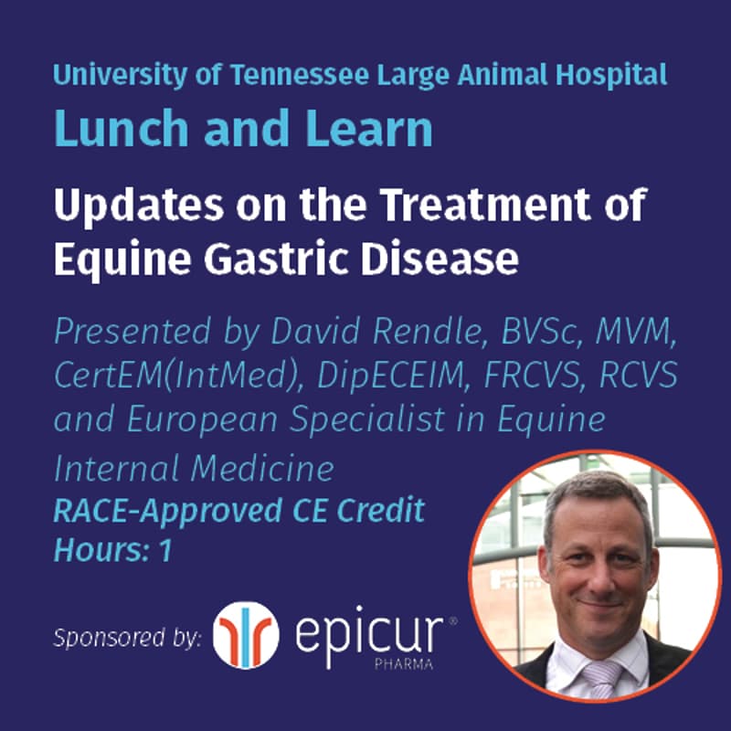 Cover Image for 11/12 UT and Epicur Pharma Lunch and Learn