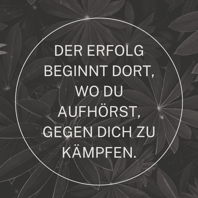 Cover Image for Der Erfolg beginnt dort, wo du aufhörst, gegen dich zu kämpfen.
