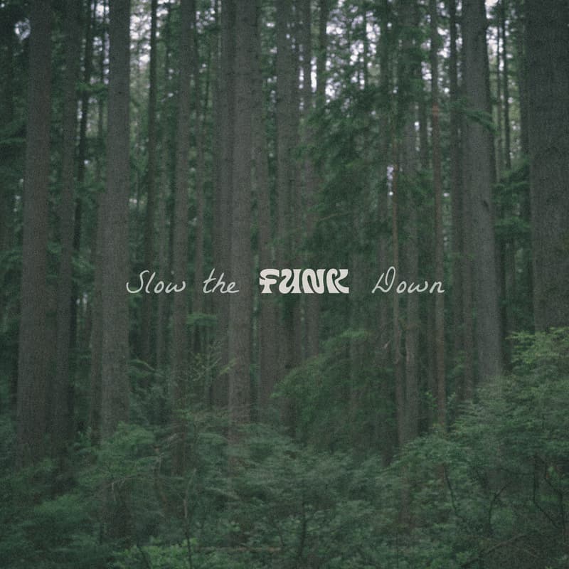 Cover Image for Slow the Funk Down - Funk x Yeoyu