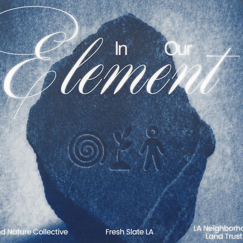 Cover Image for Elemental Yoga Flow (4/4)