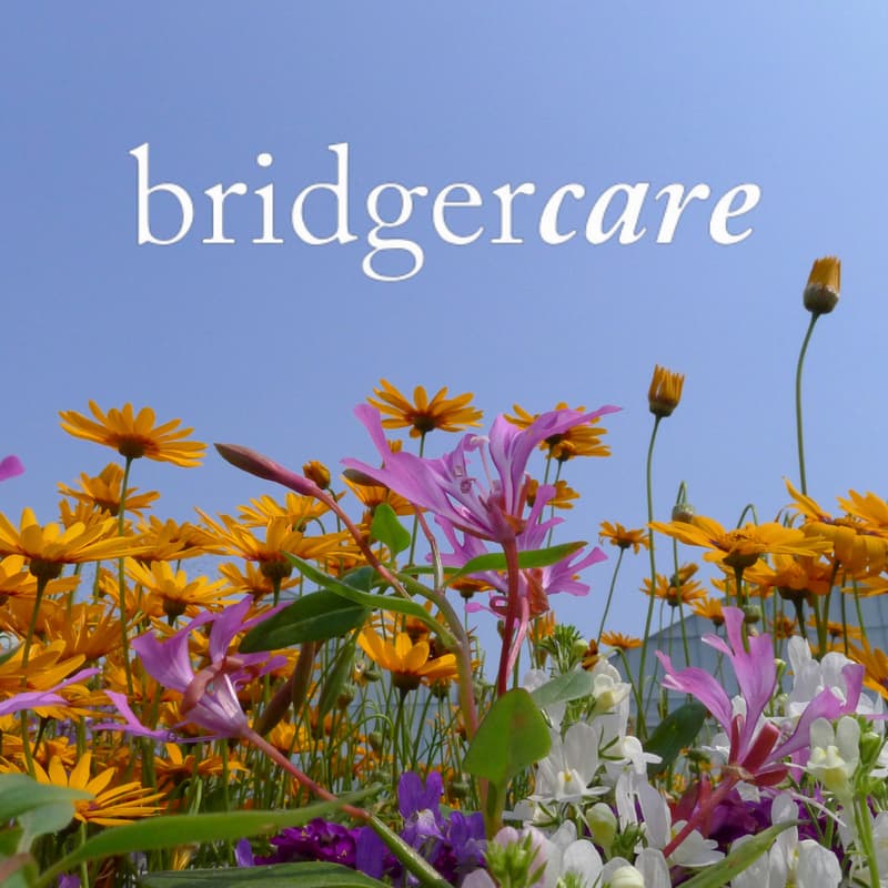 Cover Image for Flowers and Menopause at Kiln with Bridgercare!