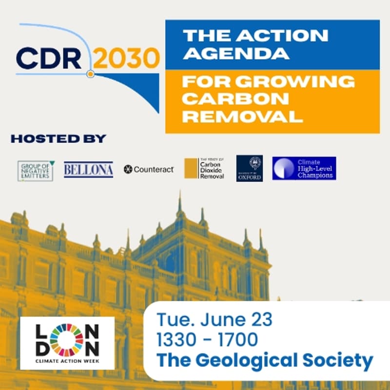Cover Image for CDR2030: The Action Agenda for Growing Carbon Removal