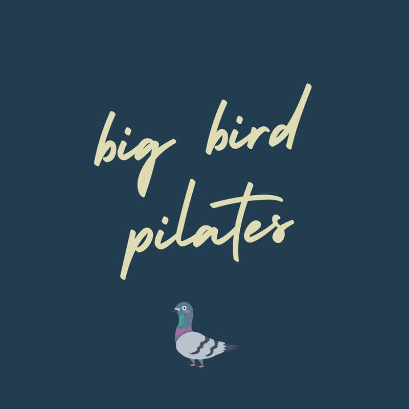 Cover Image for Big Bird Pilates: Free Community Mat Pilates