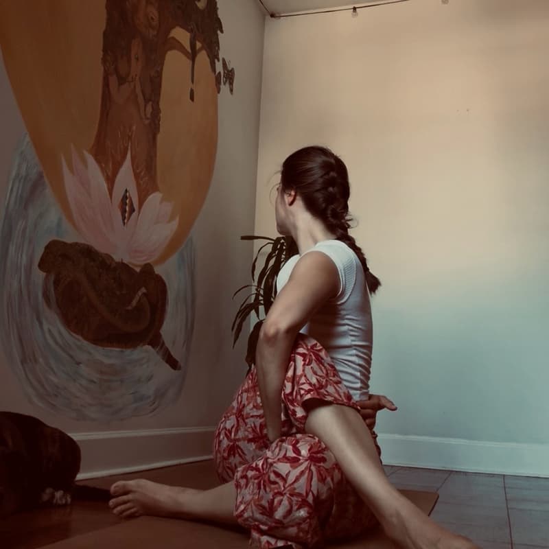 Cover Image for Hatha Yoga & Meditation