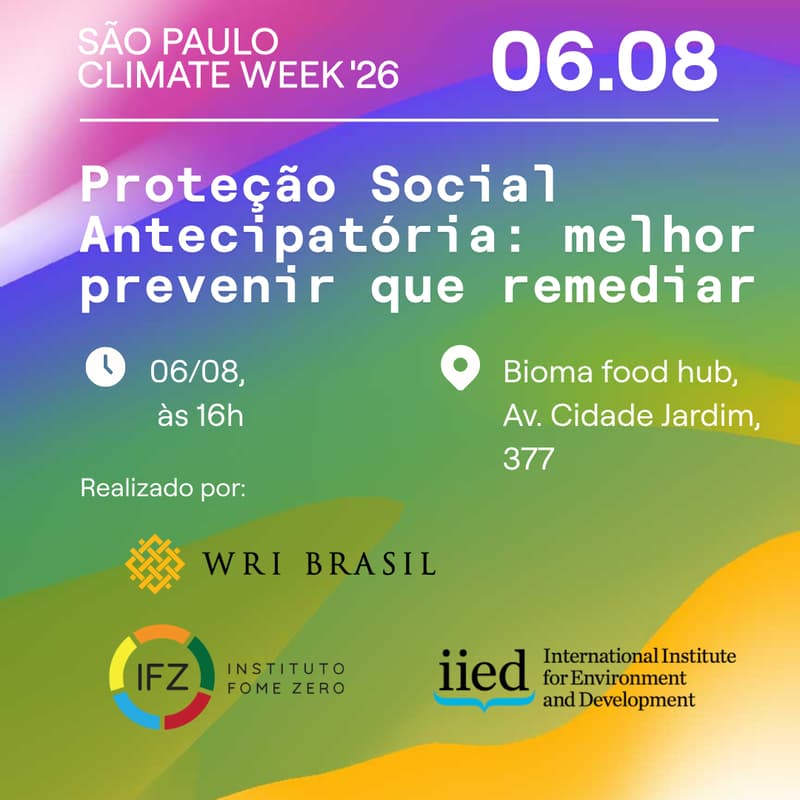 Cover Image for Proteção Social Antecipatória: melhor prevenir que remediar
