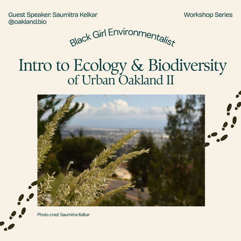 Cover Image for Intro to Ecology & Biodiversity of Urban Oakland II