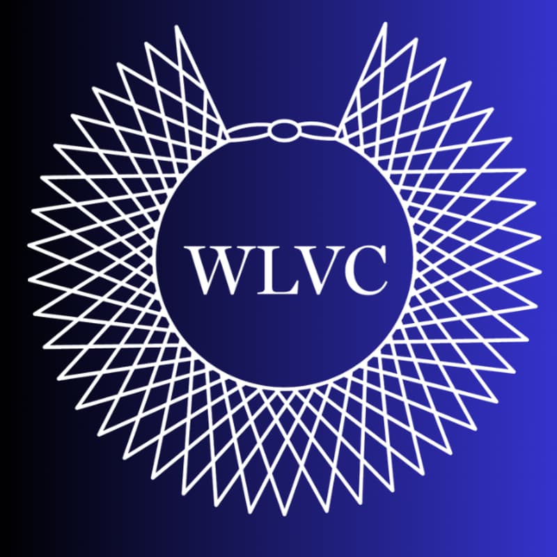 Cover Image for WLVC & SBWL Mixer: Mentorship Match Event