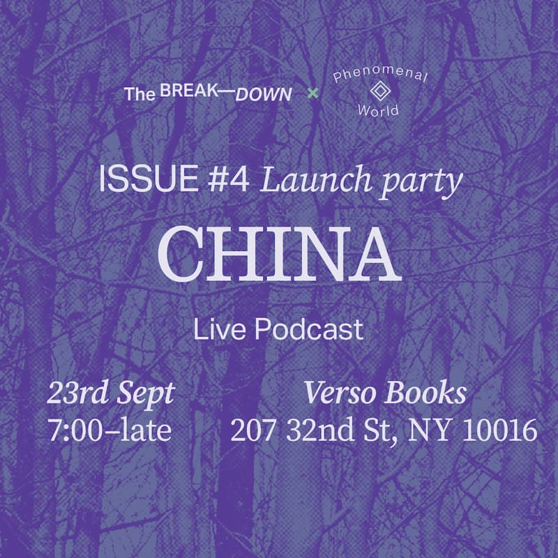 Cover Image for The Break—Down x Phenomenal World present: ISSUE #4 Launch Party