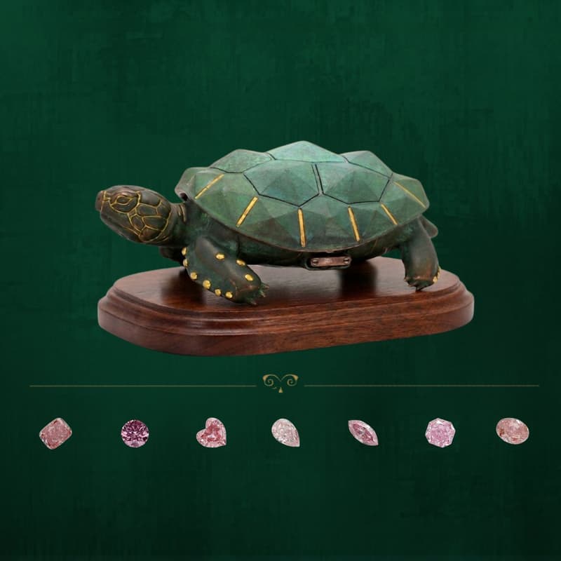 Cover Image for An evening with the Timeless Turtle & 7 pink diamonds