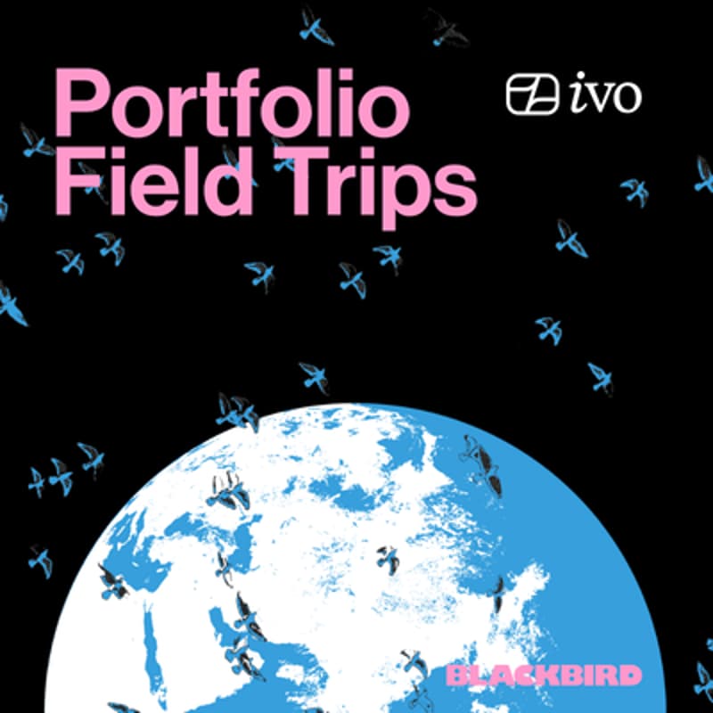 Cover Image for Portfolio Field Trips: Ivo Edition