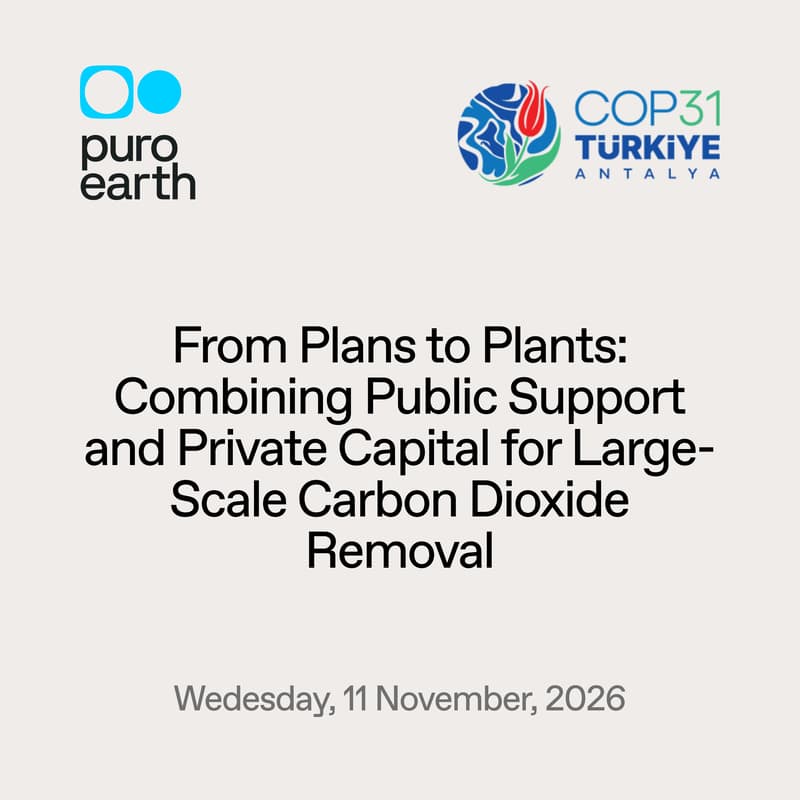 Cover Image for From Plans to Plants: Combining Public Support and Private Capital for Large-Scale Carbon Dioxide Removal