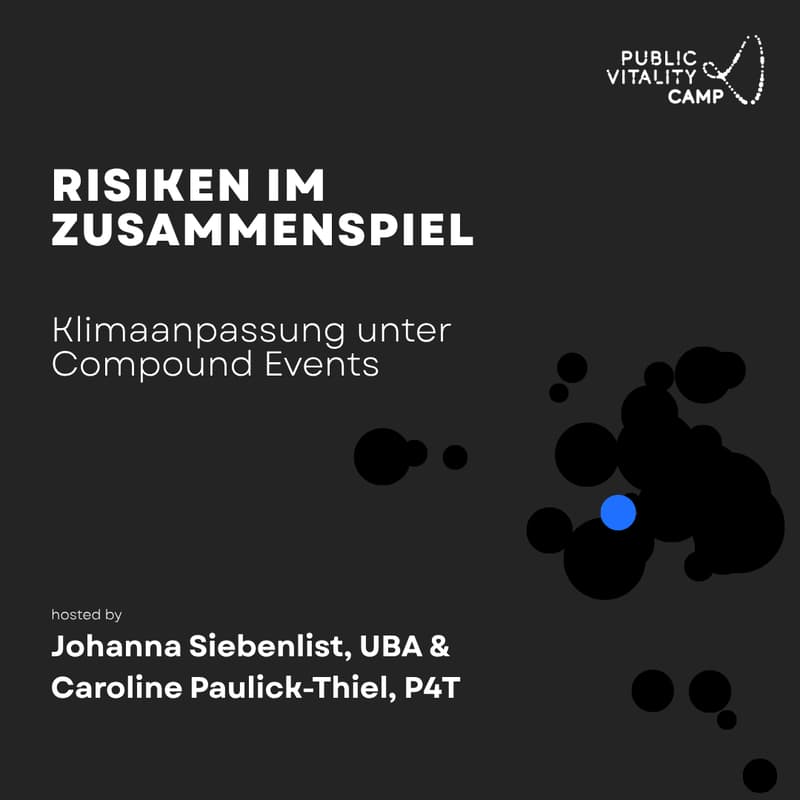 Cover Image for Risiken im Zusammenspiel