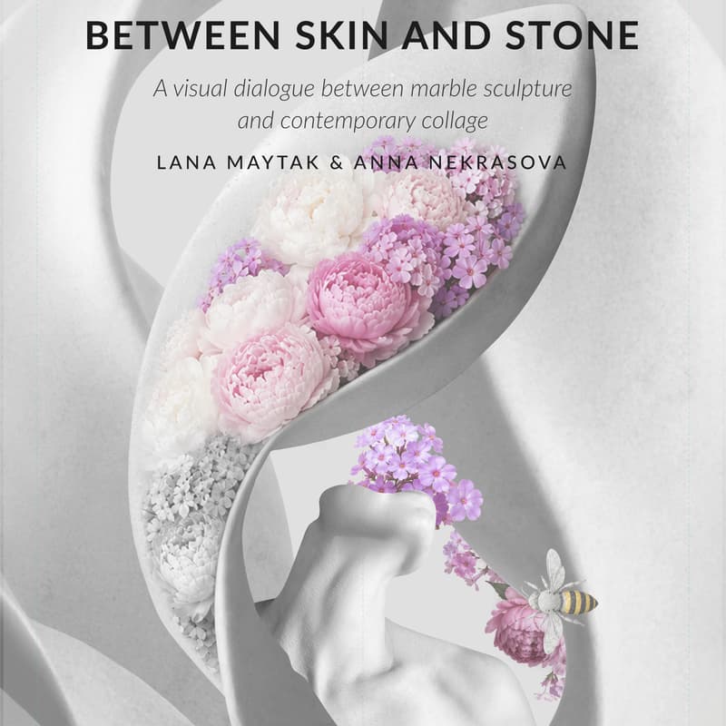 Cover Image for Between Skin And Stone