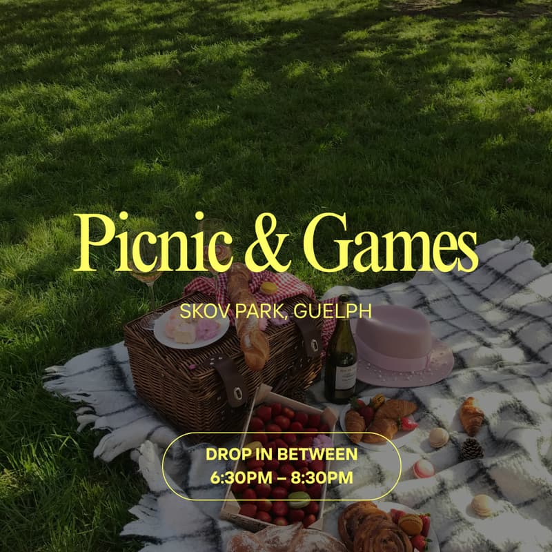 Cover Image for Skov Park Picnic